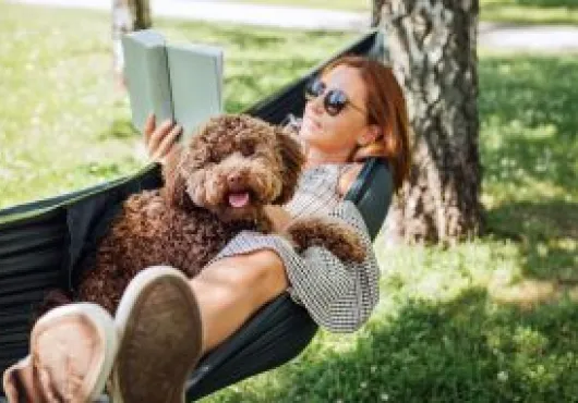 Mascotas en vacaciones